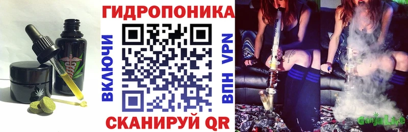 Canna-Cookies конопля  МЕГА ссылка  Верхний Тагил 