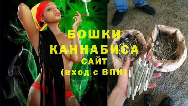 твердый Бородино