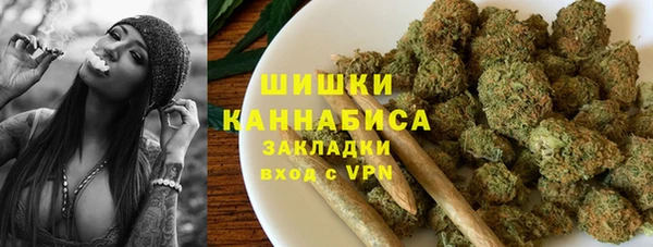 твердый Бородино