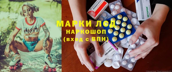индика Белоозёрский