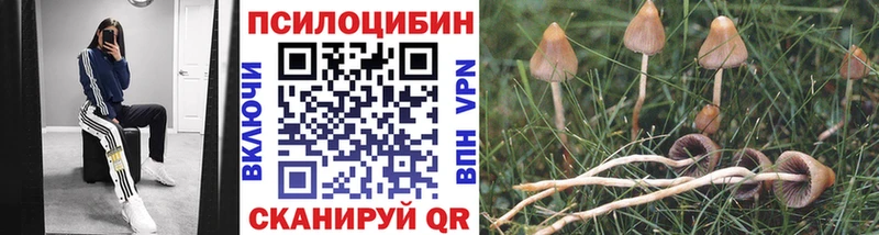 mega tor  Верхний Тагил  Галлюциногенные грибы Cubensis  купить закладку 